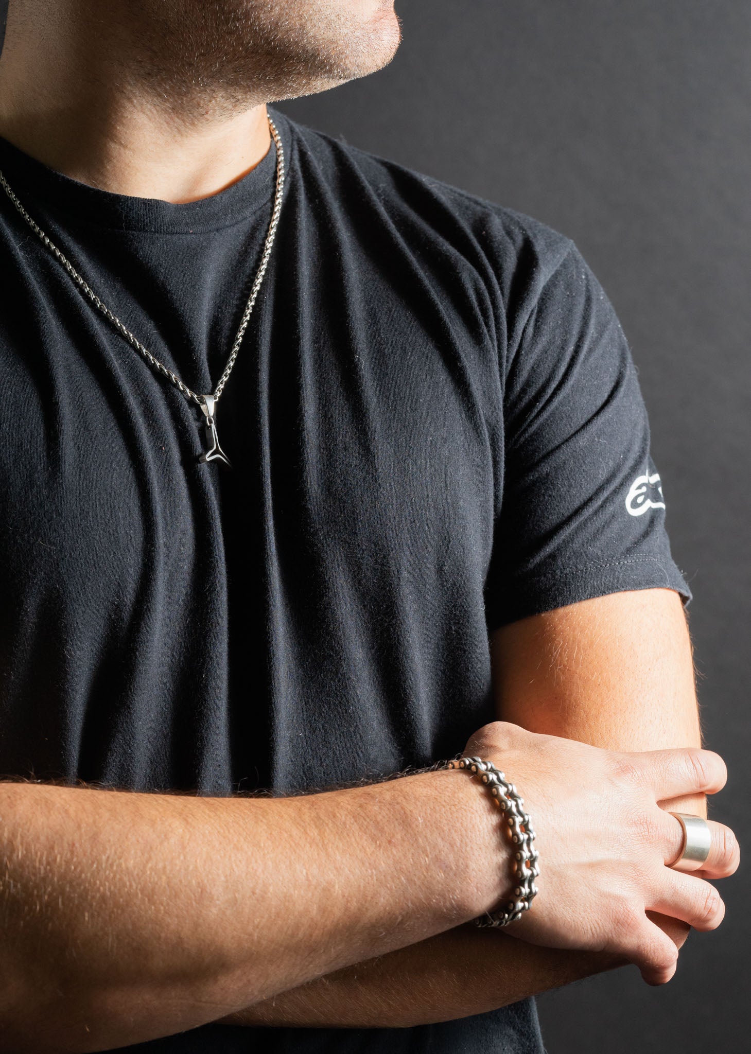 Venuste Argentis XIV